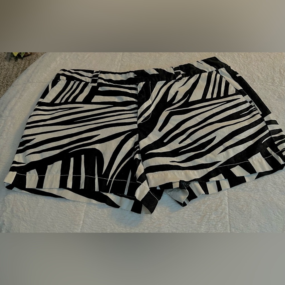 LOFT SHORTS, SIZE 8, Black & White ZEBRA PRINT